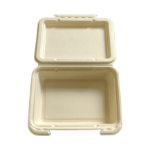 Disposable Biodegradable Sugarcane Bagasse Paper Food Container Tray